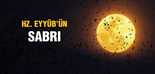 Eyub Sabri 702x336
